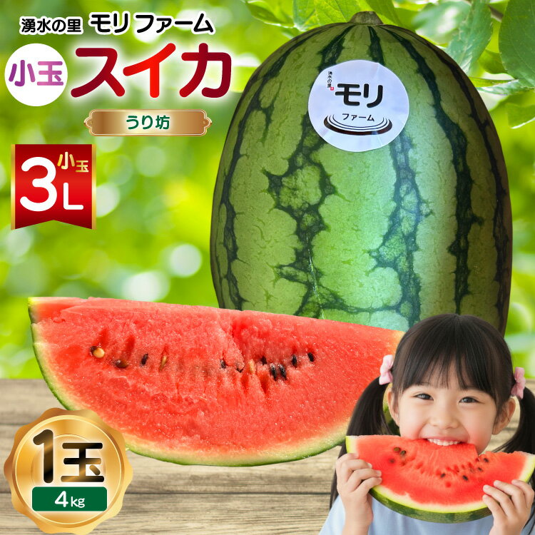 【ふるさと納税】 AJ460 【令和8年度出荷分】 湧水の里 モリファーム 小玉スイカ うり坊 3L 4kg 1玉 [ ..