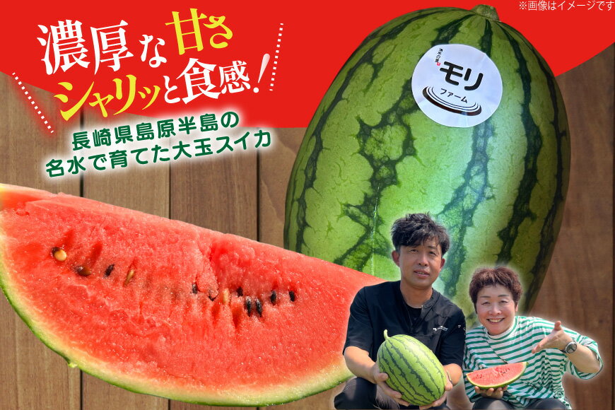 【ふるさと納税】 AJ460 【令和8年度出荷分】 湧水の里 モリファーム 小玉スイカ うり坊 3L 4kg 1玉 [ 先行予約 数量限定 小玉 うり坊 スイカ 西瓜 フルーツ 果物 長崎 長崎県 島原市 ]