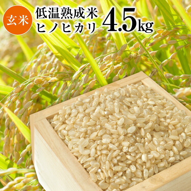 BE110 低温熟成米（ヒノヒカリ・玄米） 4.5kg(米袋×1袋)