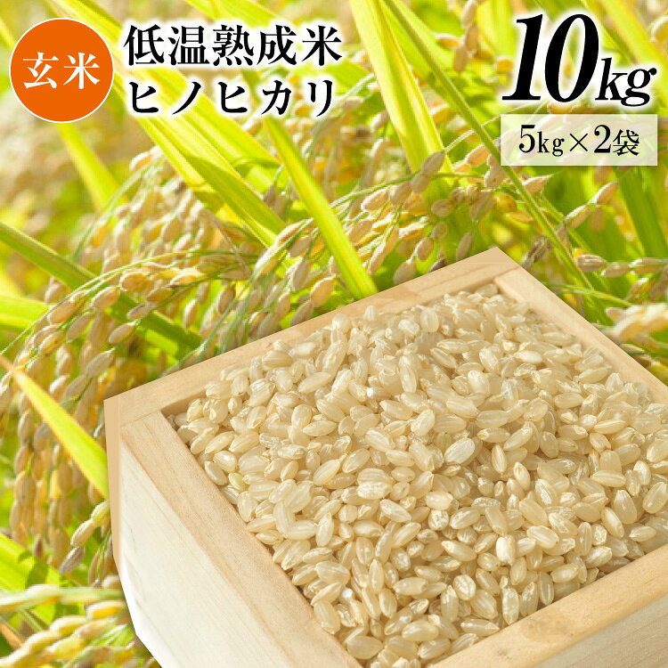 BE112 低温熟成米（ヒノヒカリ・玄米） 10kg(米袋×2袋)