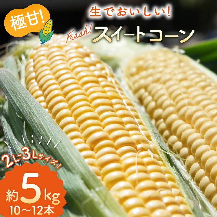 【ふるさと納税】BI207【令和9年度出荷分】とうもろこし スイートコーン イエロー 2L〜3Lサイズ 10本〜12本 約5kg [ トウモロコシ コーン ゴールドラッシュ 野菜 5キロ さかいさんち SAKAI FARM 長崎県 島原市 ]