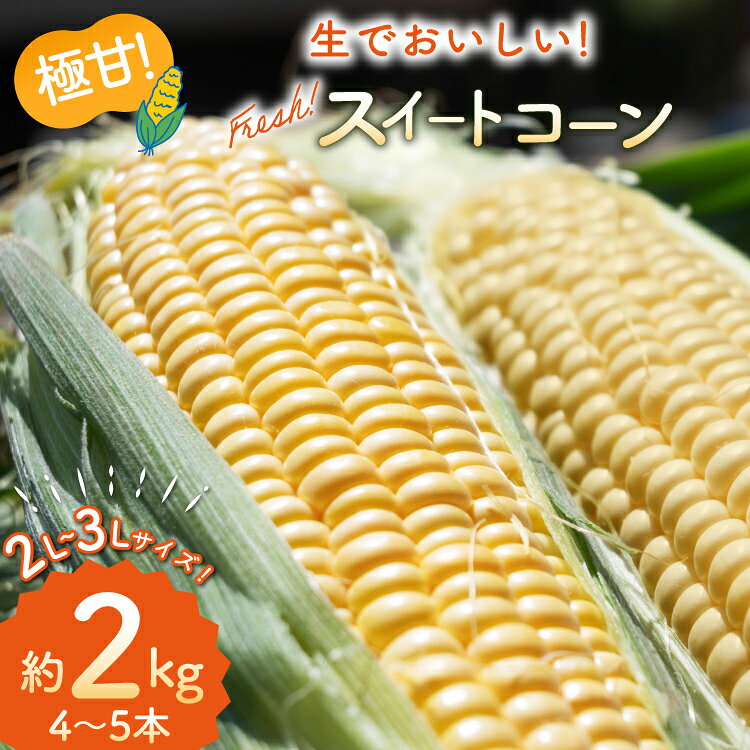 【ふるさと納税】 BJ454【令和9年度出荷分】 とうもろこし スイートコーン イエロー 2L〜3Lサイズ 4本〜5本 約2kg [ トウモロコシ コーン ゴールドラッシュ 野菜 2キロ さかいさんち SAKAI FARM 長崎県 島原市 ]