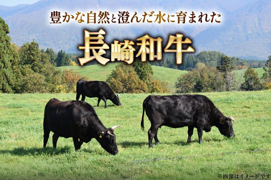 【ふるさと納税】 AK024 長崎和牛 サーロイン ステーキ 250g 2パック 計500g [ 牛肉 肉 和牛 ステーキ ロース サーロインステーキ BBQ バーベキュー 焼肉 アウトドア 長崎県 島原市 ] f422037-shimabara-10002012 長崎県島原市 サンプル画像2