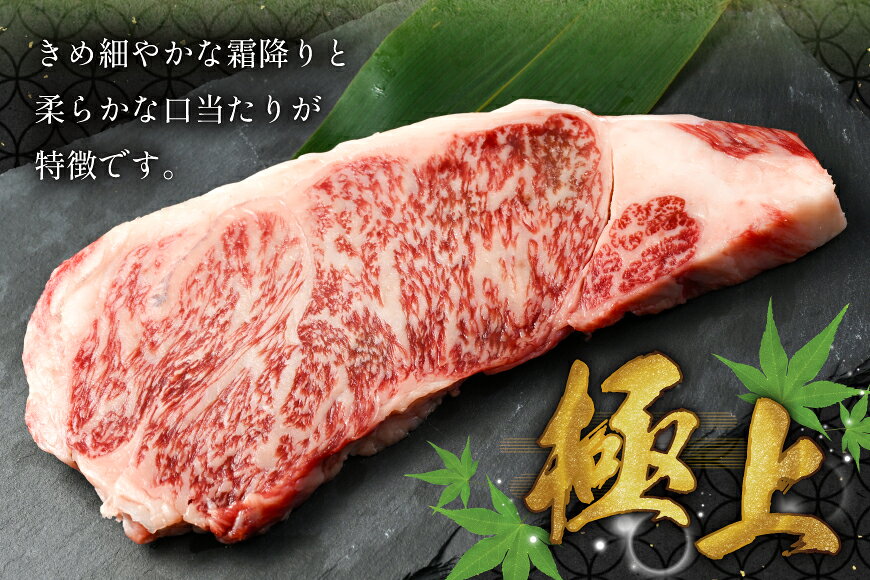 【ふるさと納税】 AK024 長崎和牛 サーロイン ステーキ 250g 2パック 計500g [ 牛肉 肉 和牛 ステーキ ロース サーロインステーキ BBQ バーベキュー 焼肉 アウトドア 長崎県 島原市 ] f422037-shimabara-10002012 長崎県島原市 サンプル画像3