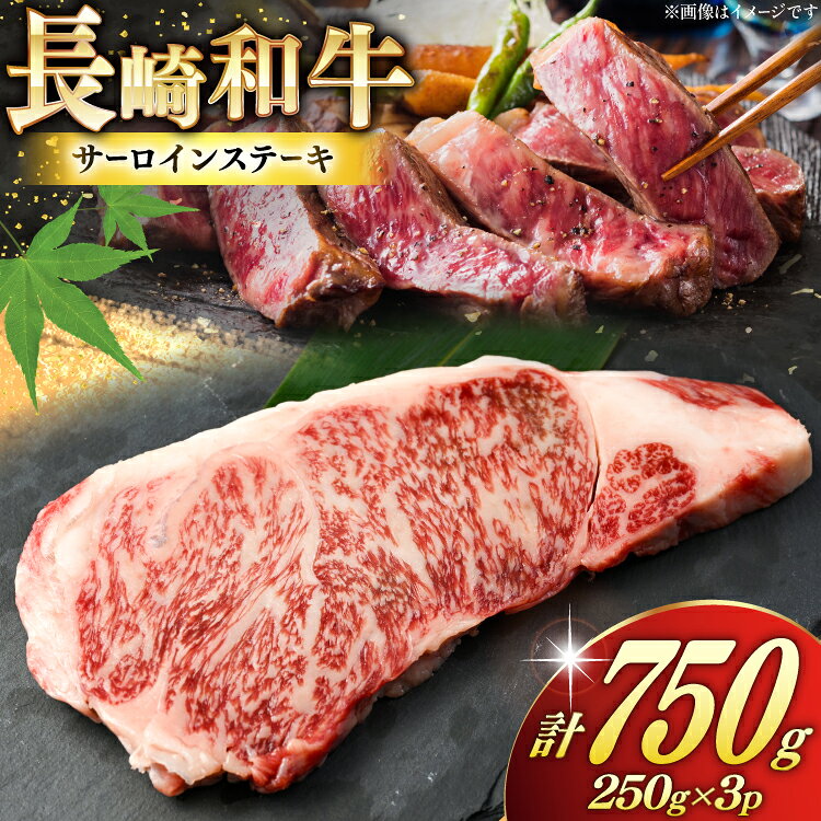 【ふるさと納税】 AK025 長崎和牛 サーロイン ステーキ 250g 3パック 計750g [ 牛肉 肉 和牛 ステーキ ロース サーロインステーキ BBQ バーベキュー 焼肉 アウトドア 長崎県 島原市 ]