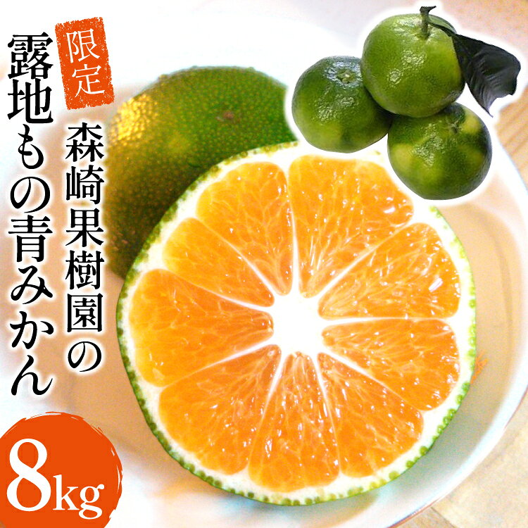 みかん 森崎果樹園 露地もの 青みかん 8kg [ ミカン 温州みかん 果物 フルーツ 青もの 酸味 8キロ 国産 森崎果樹園 長崎県 島原市 ]