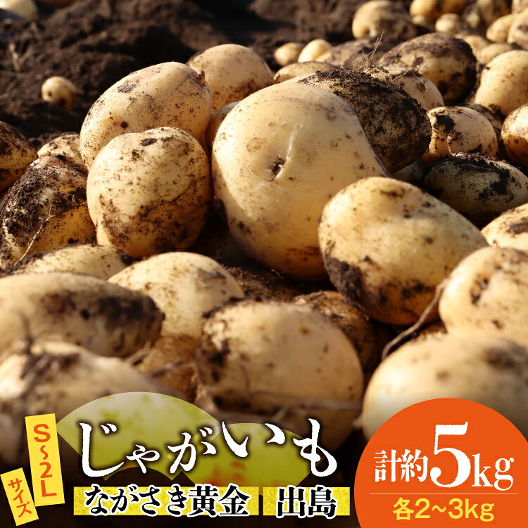 じゃがいも ながさき黄金 出島 じゃがいも食べ比べセット 計5kg [ 野菜 芋 ジャガイモ じゃがいも 5キロ ほくほく 国産 常備野菜 合同会社YT 長崎県 島原市 ]