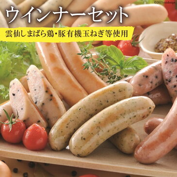 【ふるさと納税】美味しさが弾ける ウインナー・とりちゃーしゅー詰合せ【長崎県 島原市 美味しい お取り寄せ ソーセージ おつまみ ギフト 肉 お弁当 おかず 小分け 便利 国産 豚肉 お歳暮 お中元 送料無料 お取り寄せ】