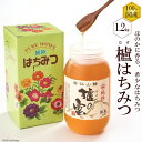 13位! 口コミ数「14件」評価「4.57」櫨（はぜ） はちみつ（1.2kg×1本） 【はちみつ 蜂蜜 はぜ 国産 100% 希少 幻の蜜 花の香り 深い甘み まろやかなコク】