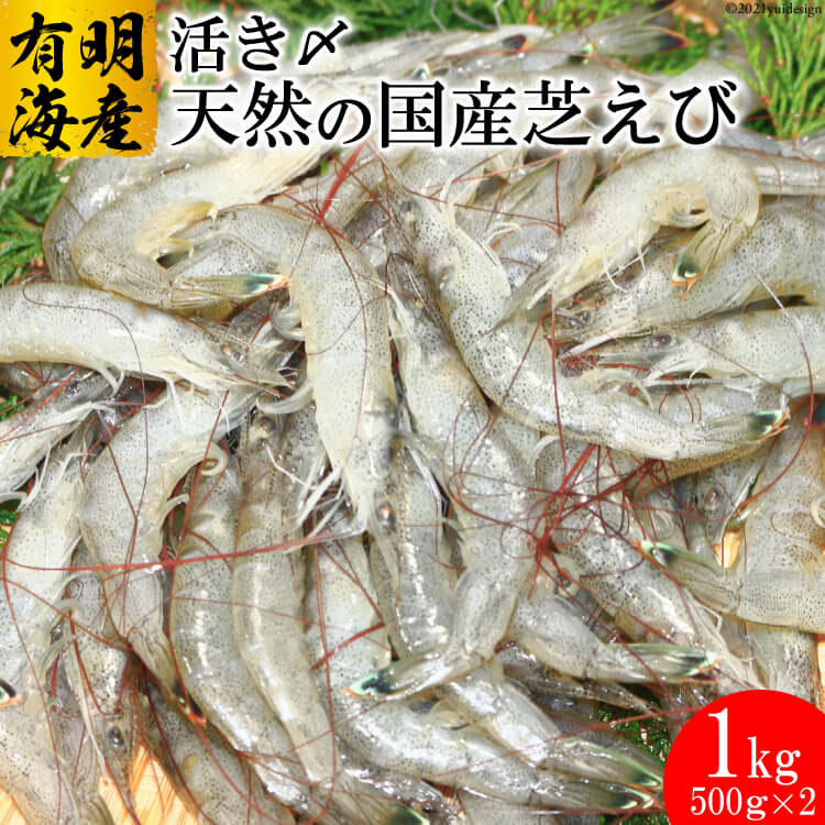 81位! 口コミ数「2件」評価「3.5」BD190 有明海産 活き〆 天然小エビ 1kg（500g×2パック）【芝海老 シバエビ しばえび アカヒゲ 九州 長崎県 島原市 有明海産･･･ 