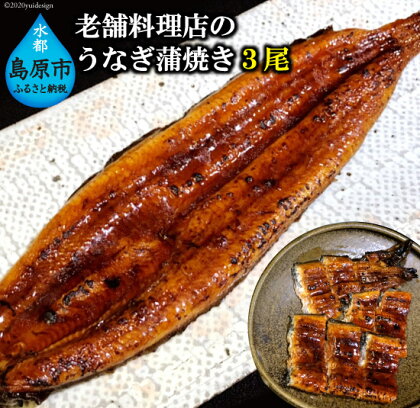 老舗料理店のうなぎ蒲焼き（170g×3尾）