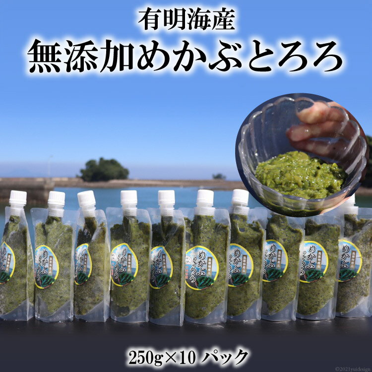 AE298 有明海産 無添加めかぶとろろ（250g×10パック）