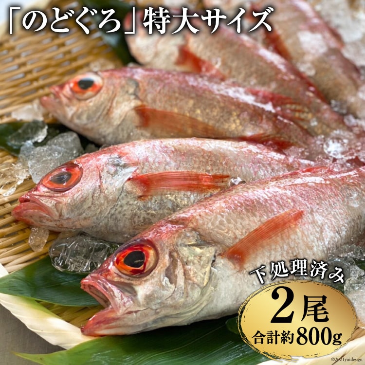 【ふるさと納税】BF089「 のどぐろ 」特大サイズ（350～450g） 2尾　＜煮付け・塩焼き用＞ 【 特大 アカムツ 下処理済み 魚介 魚 長崎県 島原市 送料無料 】