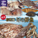 AG065有明海 旬の鮮魚 漁協おすすめ 海の幸定期便 計6回