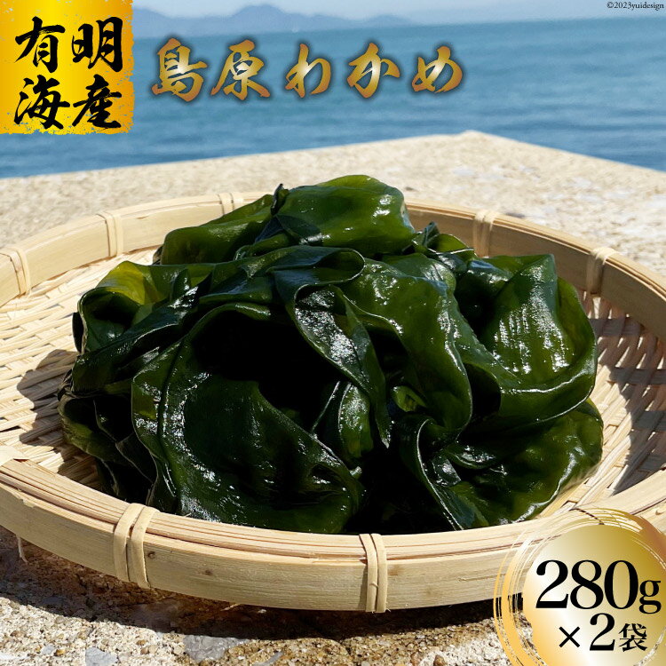 [AH030] 有明海産島原わかめ 280g×2袋