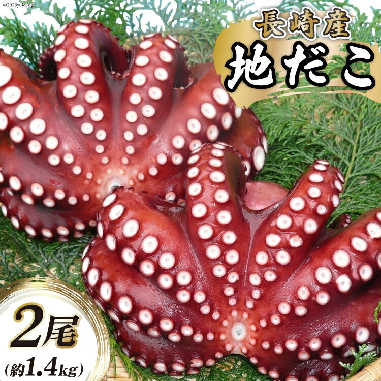 長崎産 地だこ 2尾(約1.4kg)