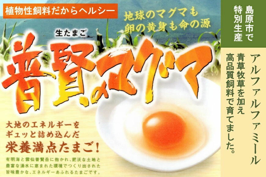 【ふるさと納税】茶碗蒸しセット（伊勢海老・河豚・ズワイ蟹・具沢山）8個分 【おすすめ 高級 伊勢 エビ ふぐ 河豚 ズワイ 蟹 カニ 卵 栄養満点 冷凍 長崎 長崎県 島原市 送料無料】