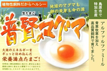 【ふるさと納税】茶碗蒸しセット（伊勢海老・河豚・ズワイ蟹・具沢山）8個分