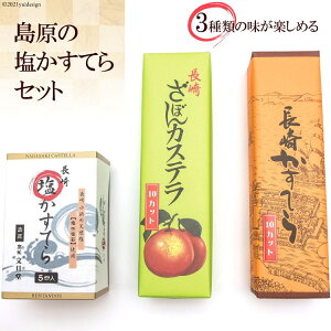 【ふるさと納税】3つの味が楽しめる 島原の塩かすてらセット（塩かすてら・長崎カステラ・ざぼんカステラ）