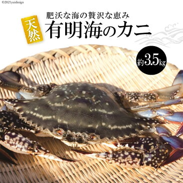 【ふるさと納税】天然の好漁場・肥沃な海の贅沢な恵み 有明海のワタリガニ(ガネ)約3.5kg