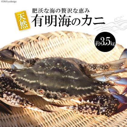 天然の好漁場・肥沃な海の贅沢な恵み 有明海のワタリガニ（ガネ）約3.5kg 【カニ かに わたりがに 蟹足 蟹肉 魚介 ガネ 長崎県 島原市 送料無料】