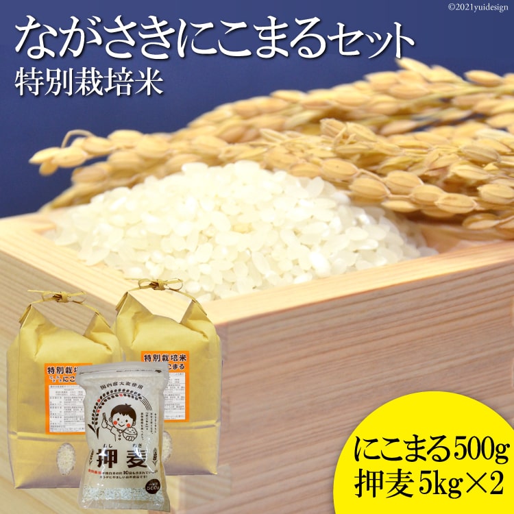 楽天長崎県島原市【ふるさと納税】BA053 ≪特別栽培米≫ 豊かな水が育んだ ながさきにこまる・押し麦セット（精米10kg ＋押麦500g）【長崎県 島原市 にこまる 特別栽培 コメ こめ 国産 令和 ブランド米 特A受賞歴 九州 送料無料 お取り寄せ 沖縄・北海道配送可 定期便あり】