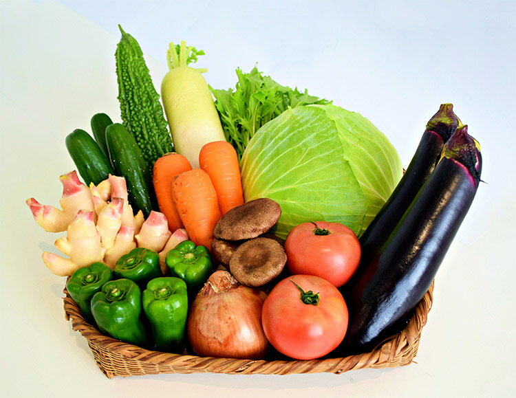 【ふるさと納税】シェフが厳選した旬の野菜〜ペニンシュラ・ベジタブル（島べジ）〜Aセット【長崎県 島原市 厳選 産地直送 お楽しみ たっぷり どっさり やさい ベジタブル 野菜セット フルーツ 果物 旬 送料無料 沖縄・北海道配送可】