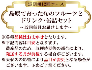 【ふるさと納税】旬のフルーツ11種類とドリンク・缶詰　定期便12回コース