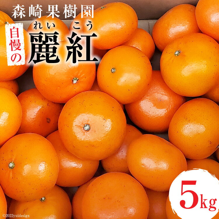 森崎果樹園自慢の『麗紅(れいこう)』5kg [みかん ミカン れいこう 麗紅 5キロ 果物 森崎果樹園 長崎県 島原市]