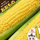 【ふるさと納税】AE155とうもろこし おおもの スーパースイートコーン 約4kg 【3Lサイズ以上！】