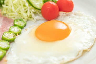 【ふるさと納税】【定期便】島原のたまご 黄味子Aセット 年3回お届け