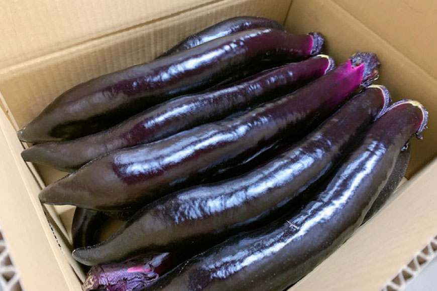 【ふるさと納税】【令和7年度出荷分】皮までおいしい！島原 大長ナス 2kg（7～8本） 【 産地直送 なす 茄子 ナス 長崎県 島原市】