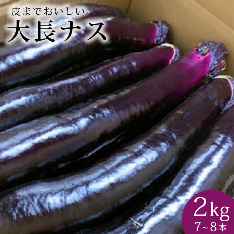 [令和6年度出荷分]皮までおいしい!島原 大長ナス 2kg(7〜8本) [ 産地直送 なす 茄子 ナス 長崎県 島原市 送料無料 ]