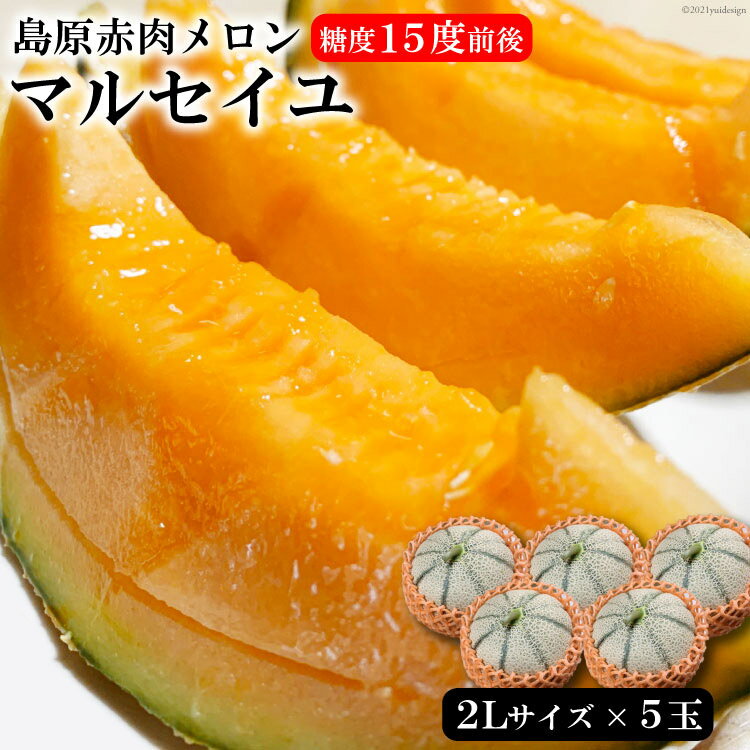 【令和6年度出荷分】島原赤肉メロン「マルセイユ」（2L×5玉）