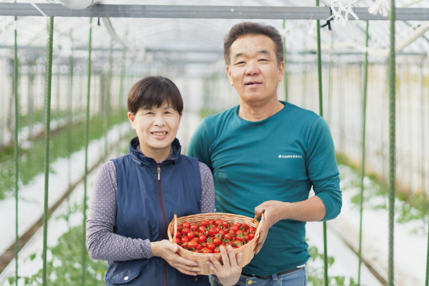 【ふるさと納税】 AF015 朝採れミニトマト トマトベリー たっぷり！1kg [トマト ミニトマト 1キロ 山口農園 長崎県 島原市]