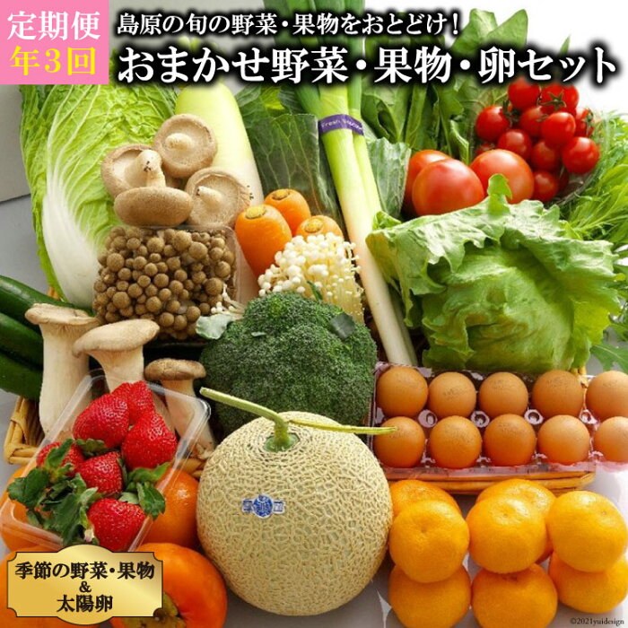 【ふるさと納税】【定期便】【年3回】島原の旬の野菜・果物！おまかせ野菜・果物・卵セット 【野菜セット 定期便 野菜 フルーツ 果物 たまご 卵 産地直送 厳選 野菜生活 減農薬 長崎県 島原市 送料無料】