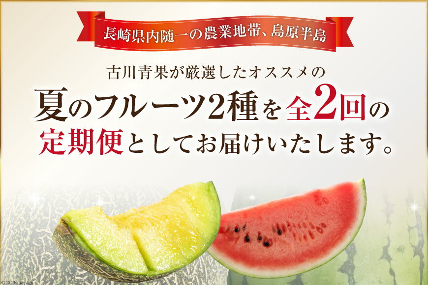 【ふるさと納税】AG131【全2回】厳選！夏の人気フルーツ定期便