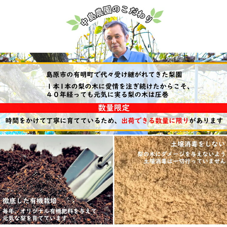 【ふるさと納税】 BH005 【令和8年度出荷分】【数量限定】 幸水梨 約5kg（10玉～16玉） [新鮮 農家直送 夏の味覚 贅沢宝庫 フルーツ]