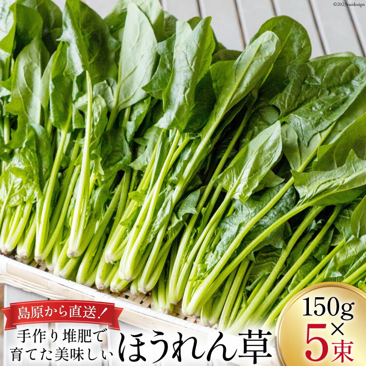 【ふるさと納税】【BH009】ほうれん草 150g×5束