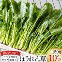 【BH010】ほうれん草 150g×10束