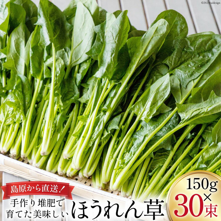 野菜・きのこ(ほうれん草)人気ランク9位　口コミ数「0件」評価「0」「【ふるさと納税】【BH011】ほうれん草 150g×30束」