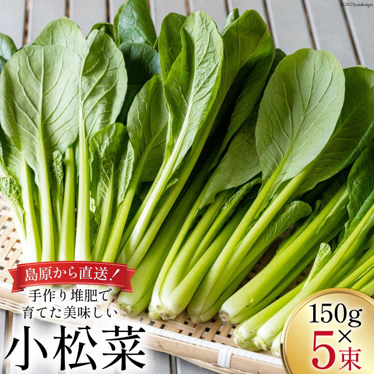 その他野菜(小松菜)人気ランク5位　口コミ数「0件」評価「0」「【ふるさと納税】【BH012】小松菜 150g×5束」