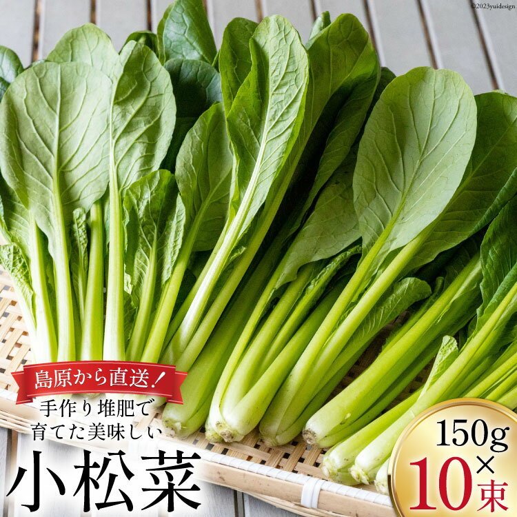 その他野菜(小松菜)人気ランク7位　口コミ数「0件」評価「0」「【ふるさと納税】【BH013】小松菜 150g×10束」