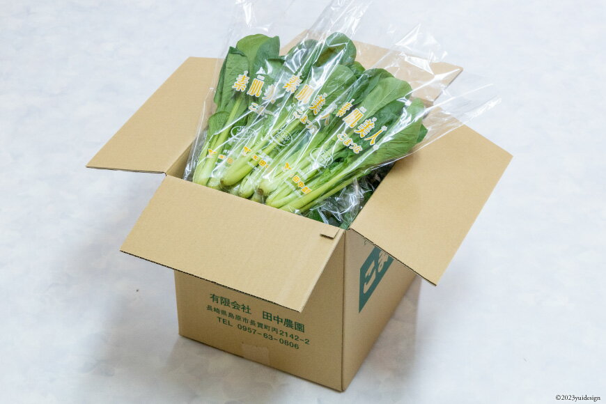 【ふるさと納税】CH014 小松菜 150g×30束