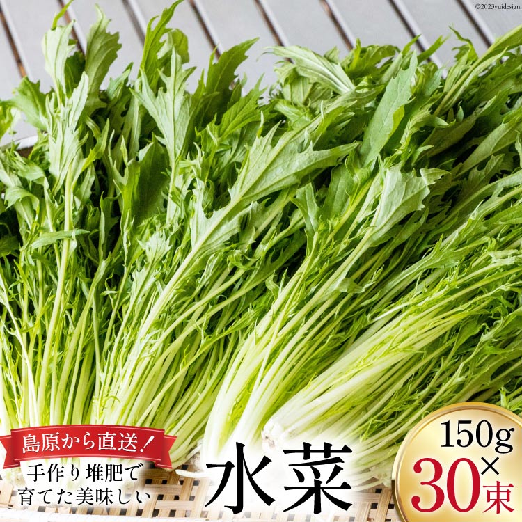 その他野菜(水菜)人気ランク3位　口コミ数「0件」評価「0」「【ふるさと納税】【BH017】水菜 150g×30束」