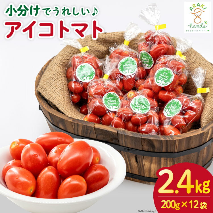 AH067[小分けでうれしい♪]アイコトマト2.4kg(200g×12袋)
