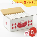 【ふるさと納税】 AH101 【業務用】さつまいも愛でたまご 10kg【 島原市 業務用 直送 卵破損補償 】