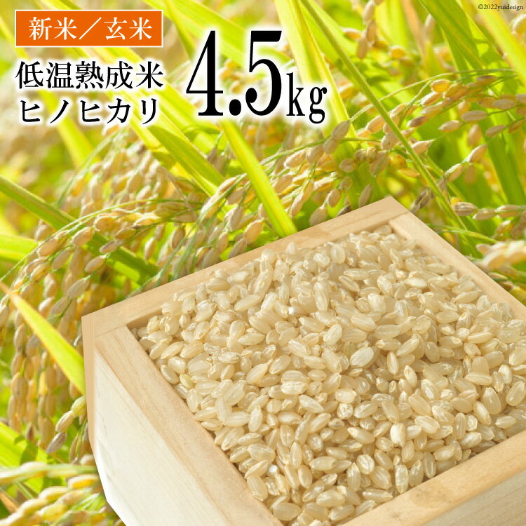 【ふるさと納税】【新米】低温熟成米（ヒノヒカリ・玄米）　4.5kg(米袋×1袋)のサムネイル