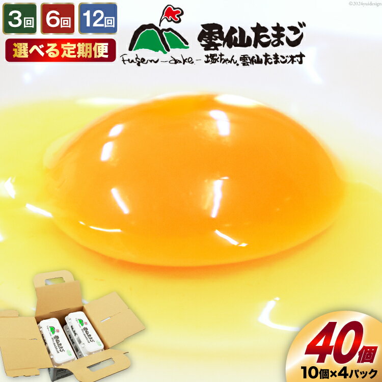 【ふるさと納税】定期便 選べる回数 雲仙たまごLサイズ 40個 (10個入り×4パック) (37個＋割れ補償3個入り) [ 卵 たまご 生卵 鶏卵 赤卵 玉子 新鮮 3回 6回 12回 塚ちゃん雲仙たまご村 長崎県 島原市 422037006]