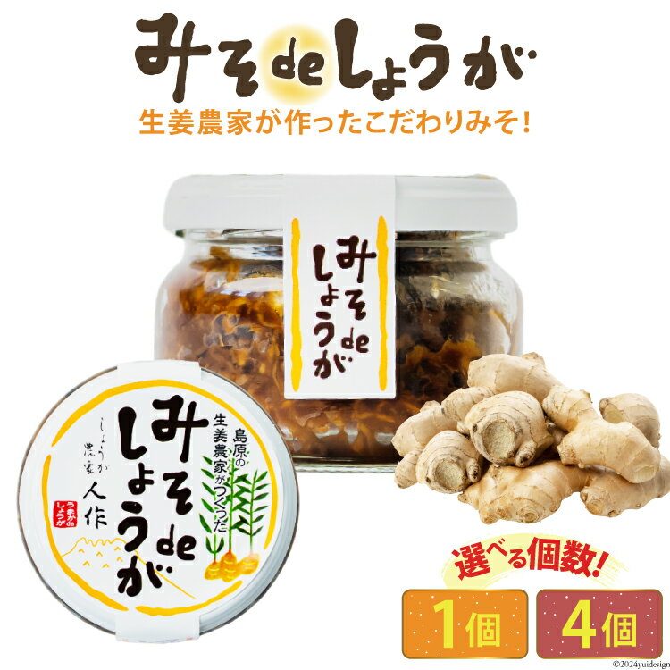 みそdeしょうが 100g 選べる個数[ 1個 4個 生姜 しょうが ショウガ 味噌 みそ お供 薬味 保存料 添加物 不使用 国産 松本農園 人作 長崎県 島原市 422037015]